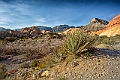 1G0A1361-HDR-Edit