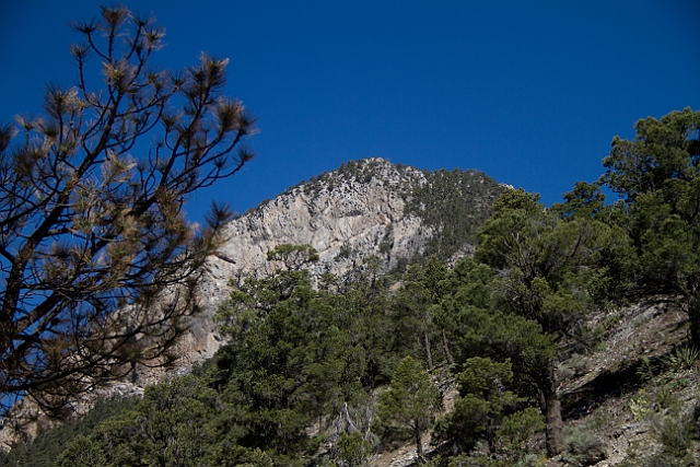 _MG_1136.jpg