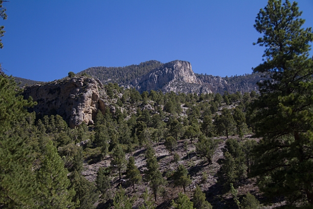 _MG_1137.jpg