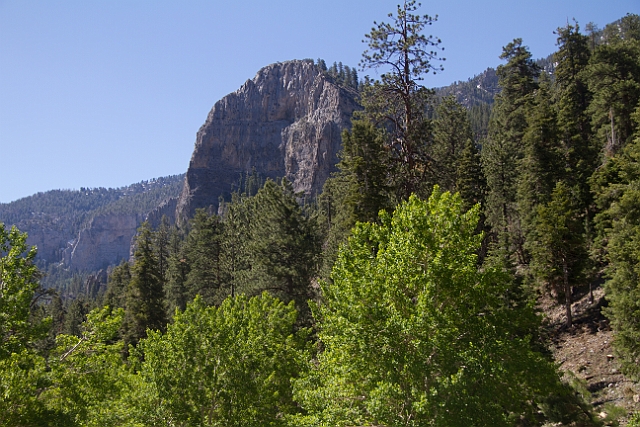 _MG_1139.jpg