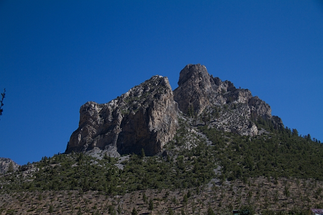 _MG_1140.jpg