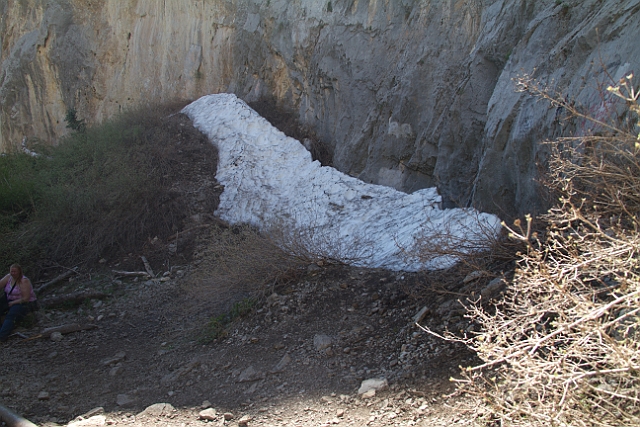 _MG_1160.jpg