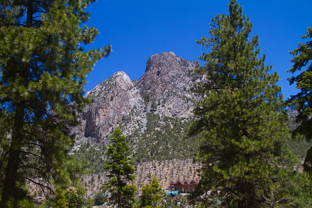 _MG_1178.jpg