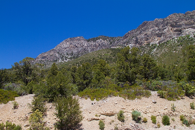_MG_1179.jpg