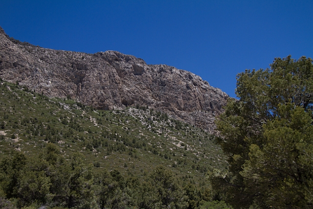 _MG_1182.jpg