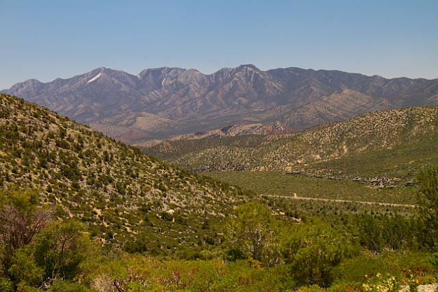 _MG_1185.jpg