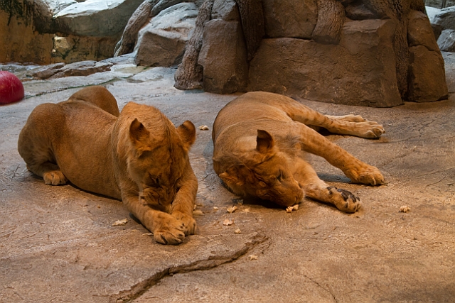 _MG_1256.jpg