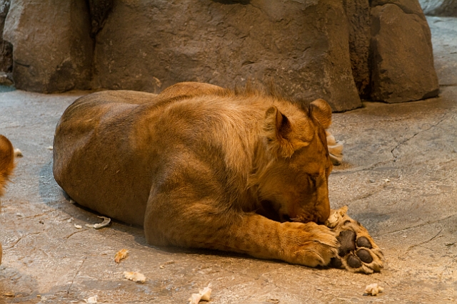 _MG_1260.jpg