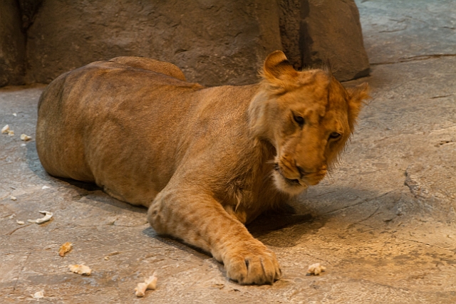 _MG_1261.jpg