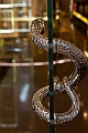 _MG_1041