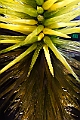 _MG_1058
