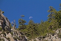 _MG_1142-Edit