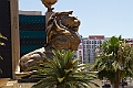_MG_1255-Edit