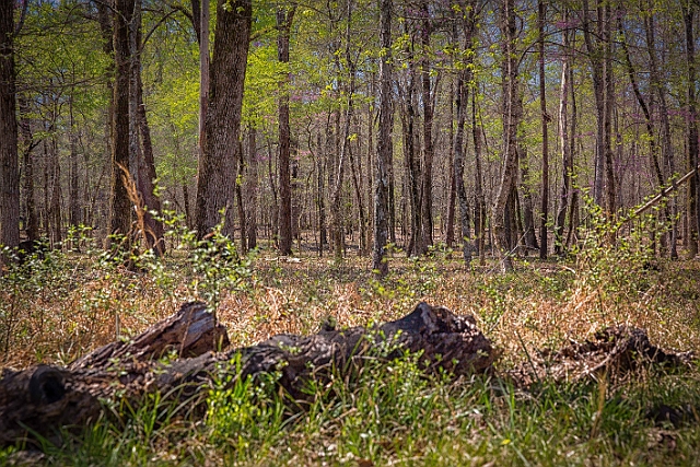 1G0A6483-HDR-Edit.jpg