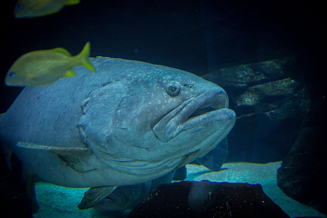 1G0A6643.jpg