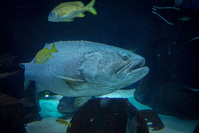1G0A6644.jpg