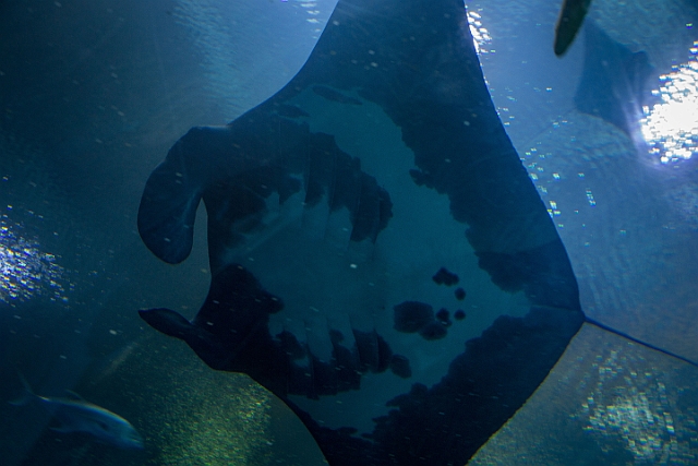 1G0A6646.jpg