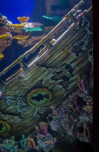 1G0A6826.jpg