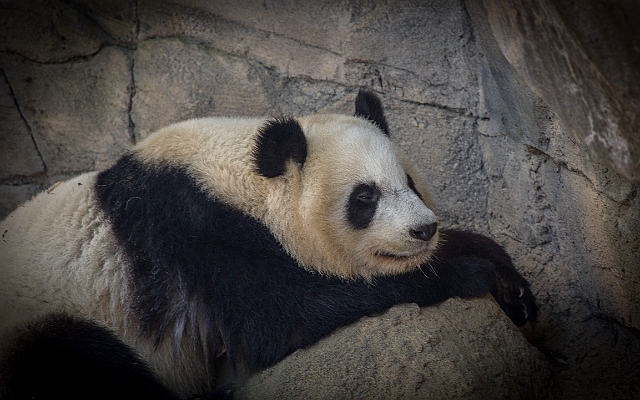 1G0A6937.jpg