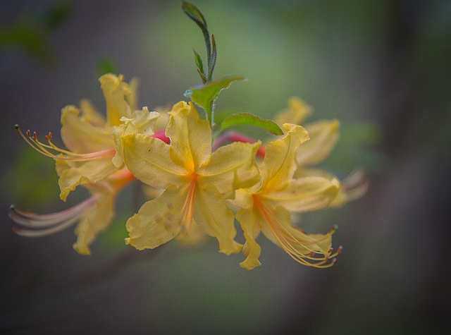 1G0A6947-Edit.jpg