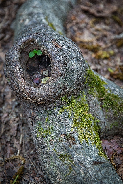 1G0A6961-Edit.jpg