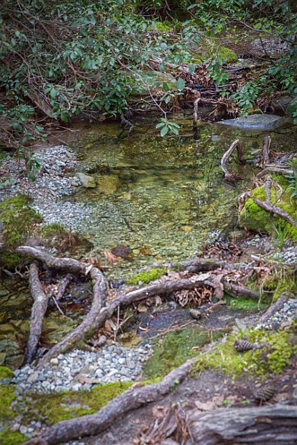 1G0A6982-HDR-Edit.jpg