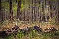 1G0A6483-HDR-Edit