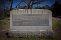 1G0A6489