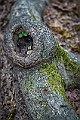 1G0A6961-Edit