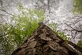 1G0A6966-Edit