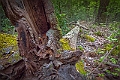 1G0A6990-Edit