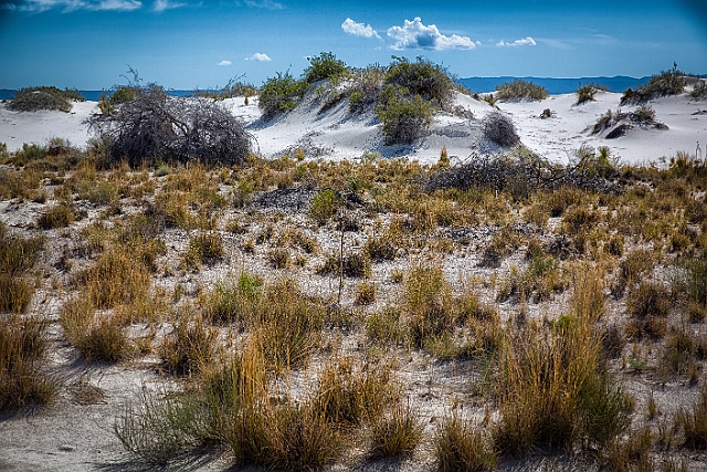 1G0A6754-HDR-Edit.jpg