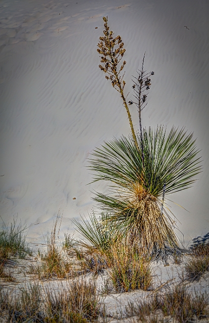 1G0A6809_10_11_12_13_fused.jpg