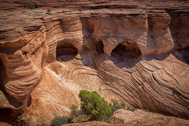 1G0A7080-HDR-Edit.jpg