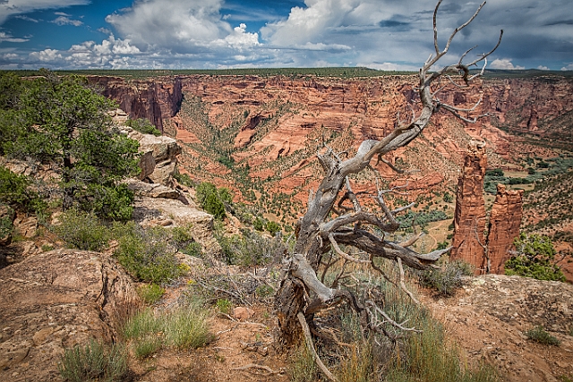 1G0A7450-Edit.jpg