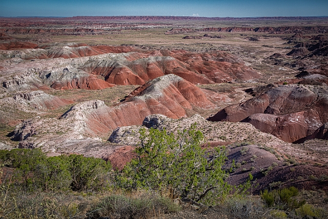 1G0A7527-HDR-Edit.jpg
