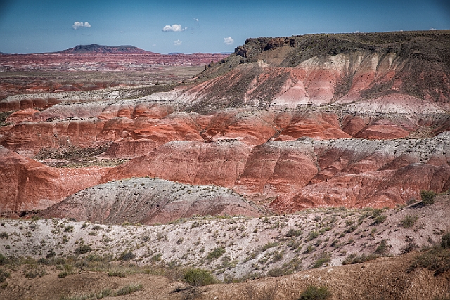 1G0A7700-HDR-Edit.jpg