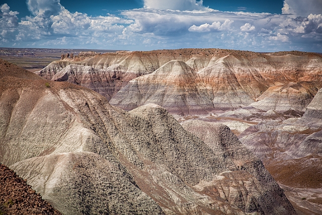 1G0A7908-HDR-Edit.jpg