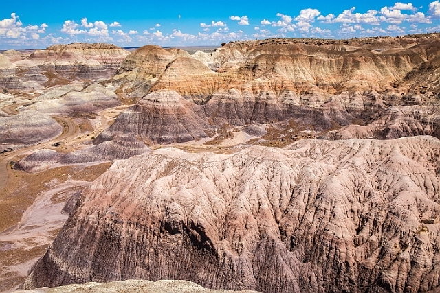 1G0A7937-HDR.jpg
