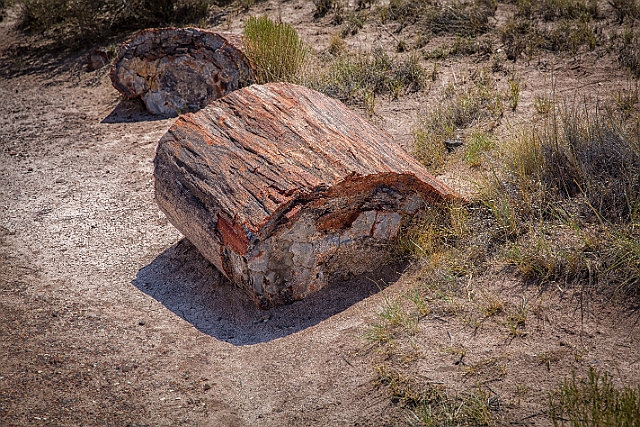 1G0A7979-HDR-Edit.jpg
