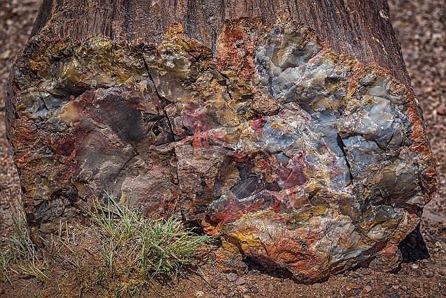 1G0A8004-HDR-Edit.jpg