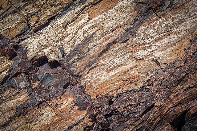 1G0A8009-HDR-Edit.jpg