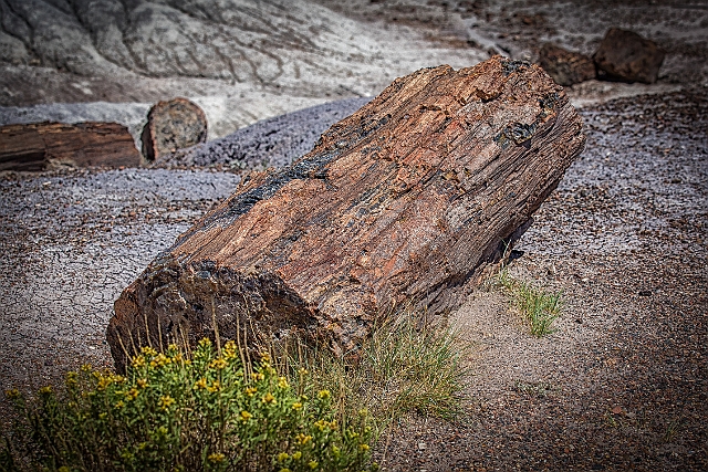 1G0A8014-HDR-Edit.jpg