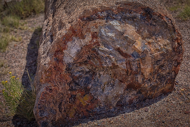 1G0A8029-HDR-Edit.jpg