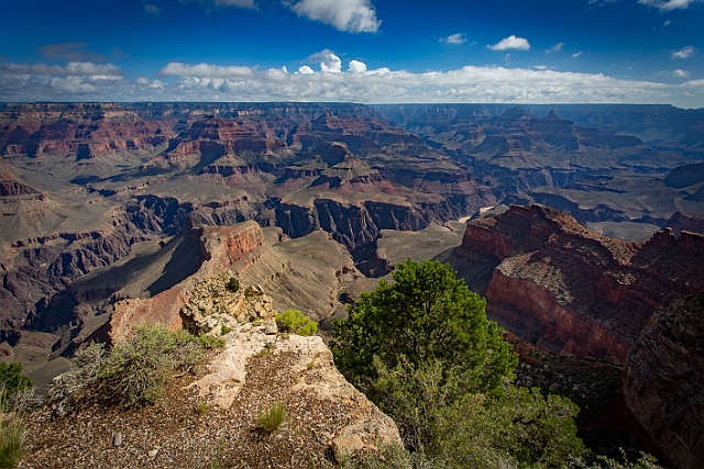 1G0A8977-HDR.jpg