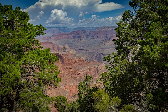 1G0A9105-HDR.jpg