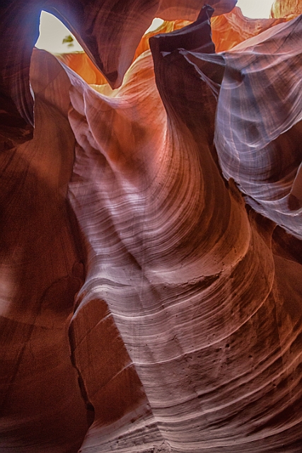 1G0A9539-Edit.jpg