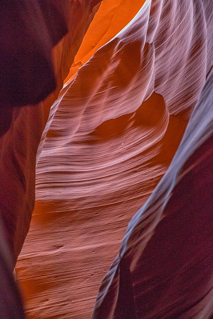 1G0A9621-Edit.jpg