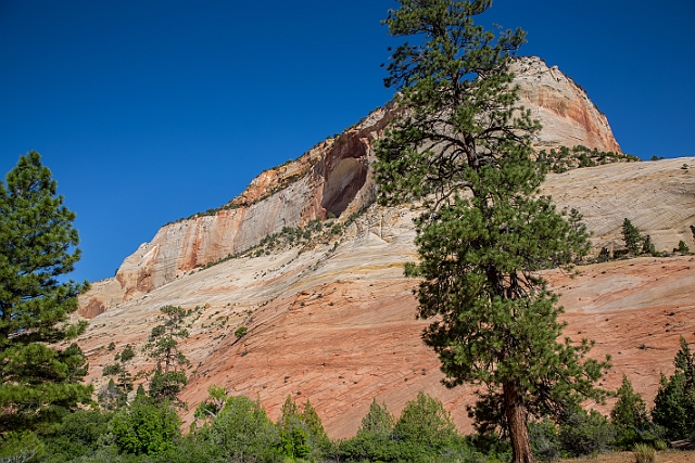 1G0A9683-HDR.jpg