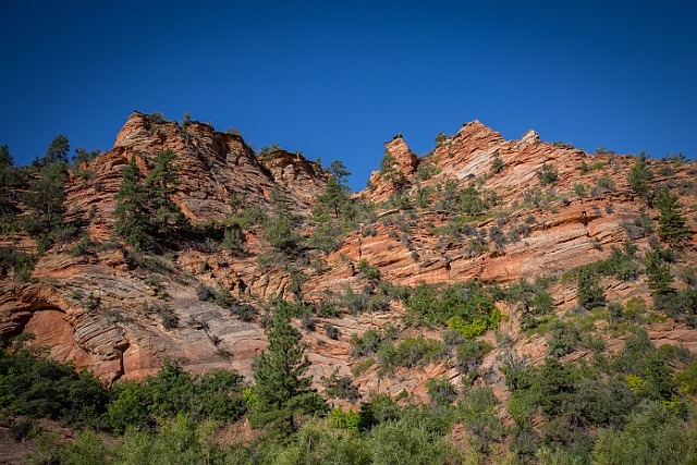 1G0A9688-HDR.jpg